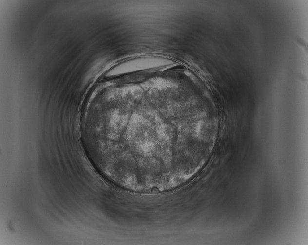 X0000096940002200803071016