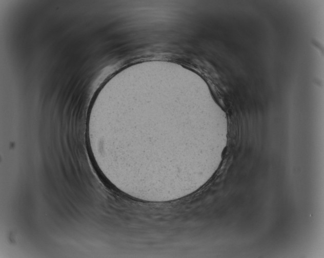 X0000096940003200803071016