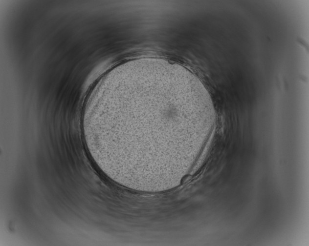 X0000096940004200803071016