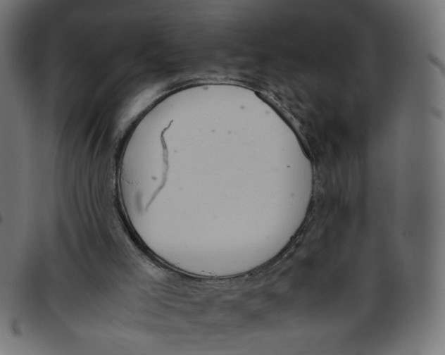 X0000096940005200803071016
