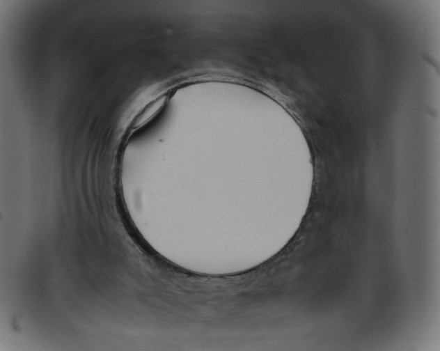 X0000096940007200803071016