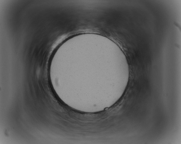 X0000096940008200803071016