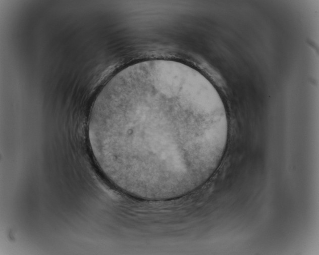 X0000096940009200803071016