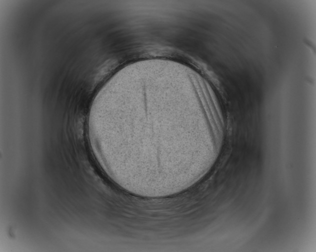 X0000096940010200803071016