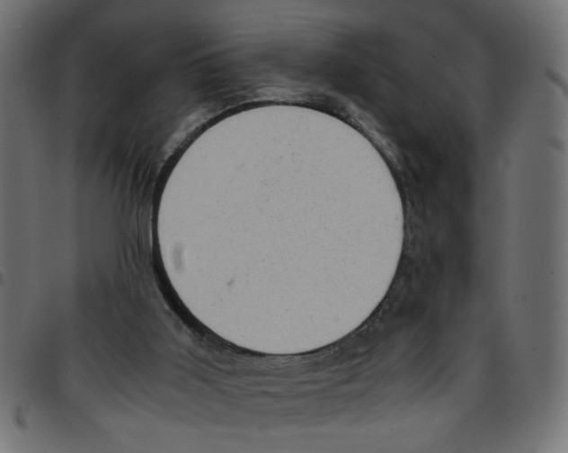 X0000096940011200803071016