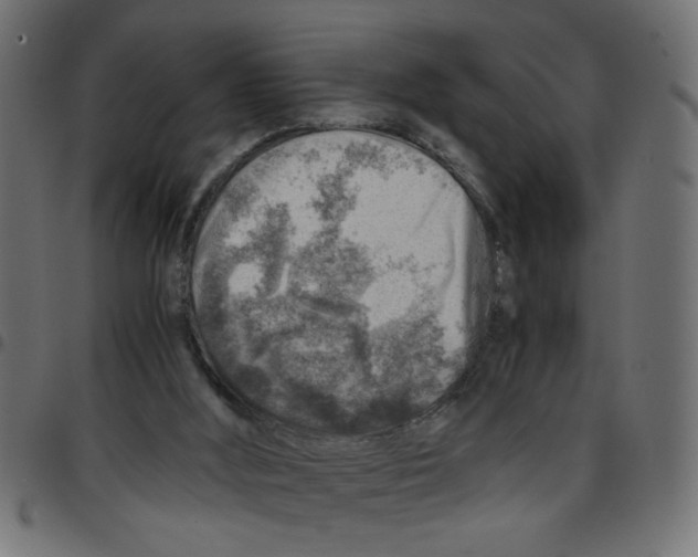 X0000096940012200803071016