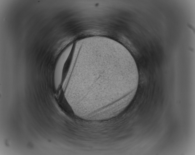 X0000096940014200803071016