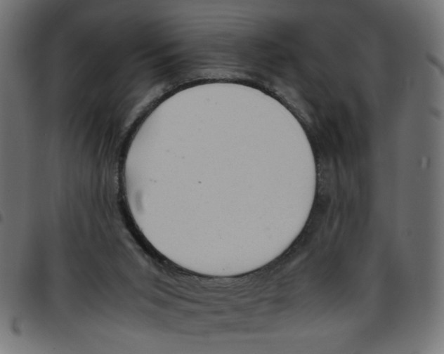 X0000096940015200803071016