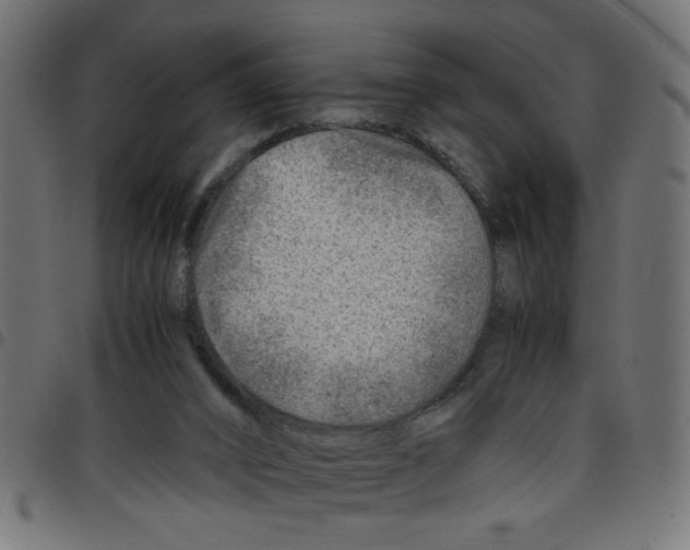 X0000096940016200803071016