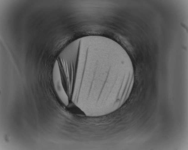 X0000096940017200803071016