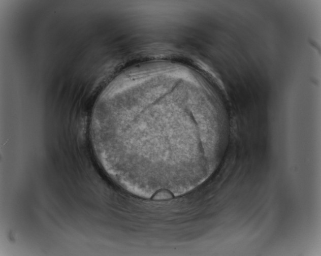 X0000096940018200803071016