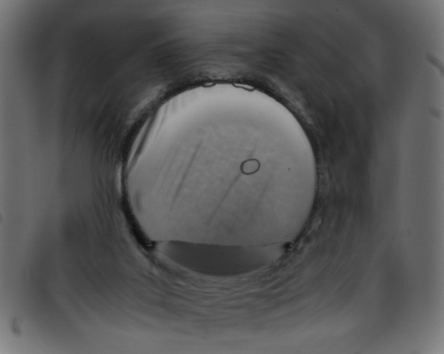 X0000096940019200803071016