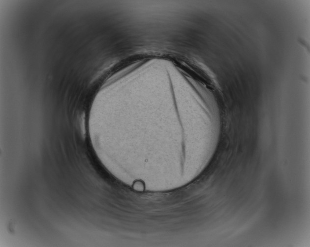 X0000096940020200803071016
