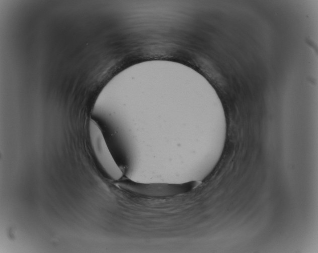 X0000096940021200803071016