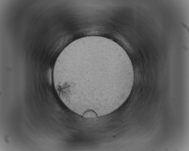 X0000096940022200803071016