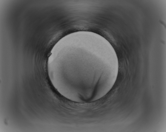 X0000096940023200803071016