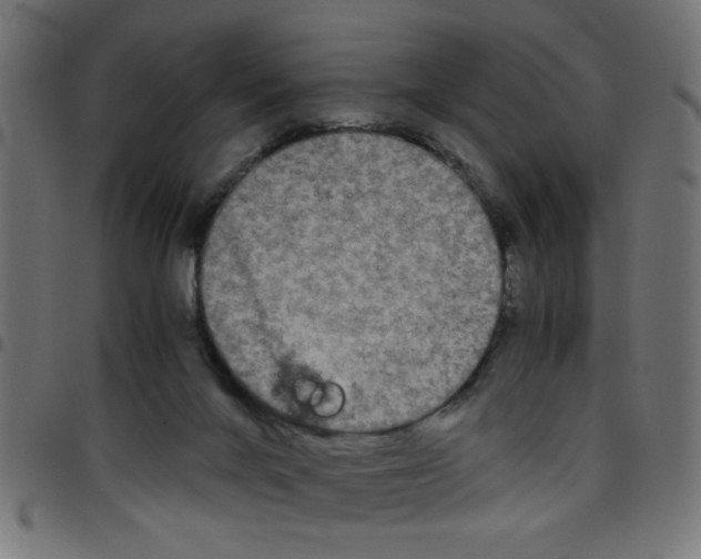 X0000096940024200803071016