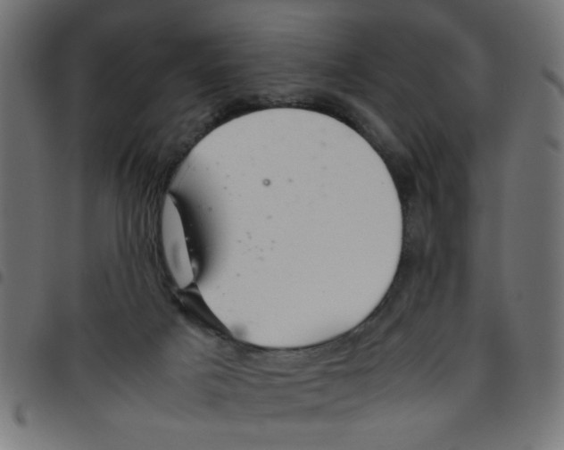 X0000096940025200803071016