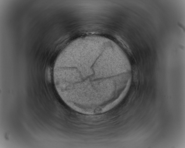 X0000096940026200803071016