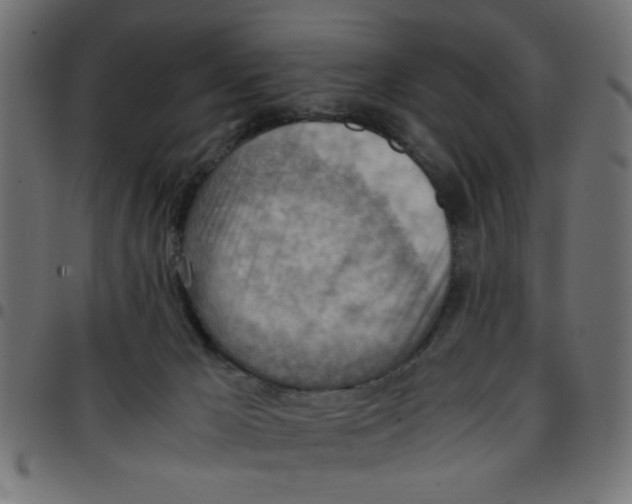 X0000096940029200803071016