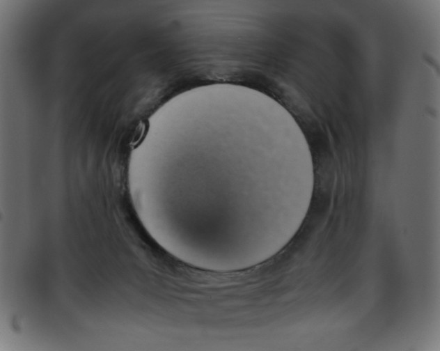 X0000096940031200803071016