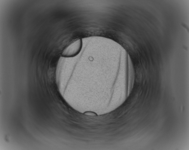 X0000096940034200803071016