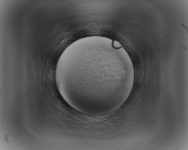 X0000096940035200803071016