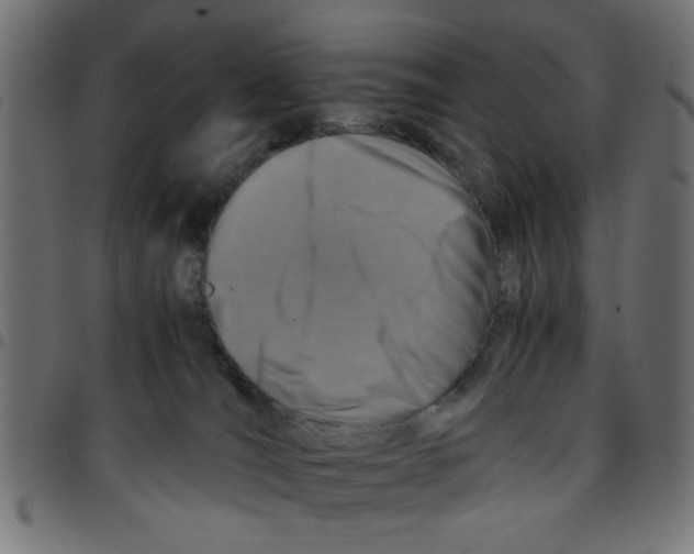 X0000096940036200803071016