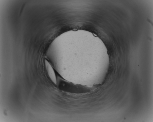 X0000096940037200803071015