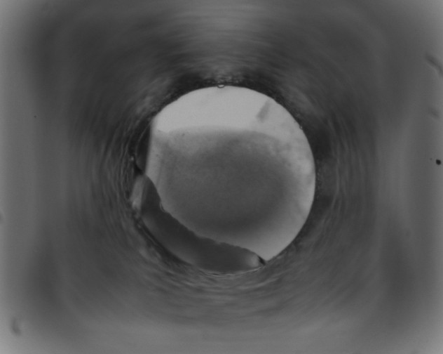X0000096940039200803071015