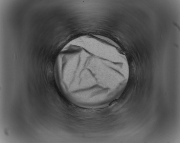 X0000096940040200803071015