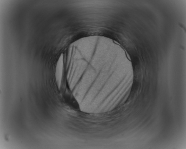 X0000096940041200803071015