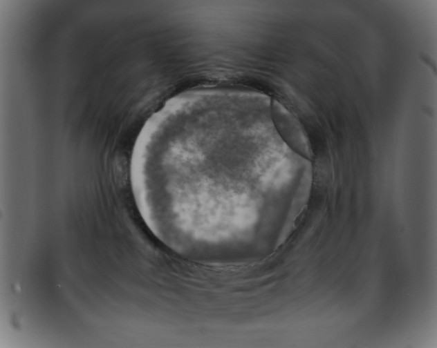 X0000096940043200803071015