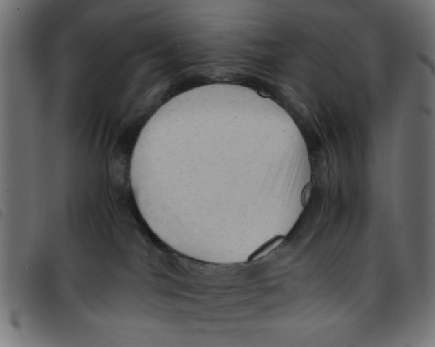 X0000096940044200803071015