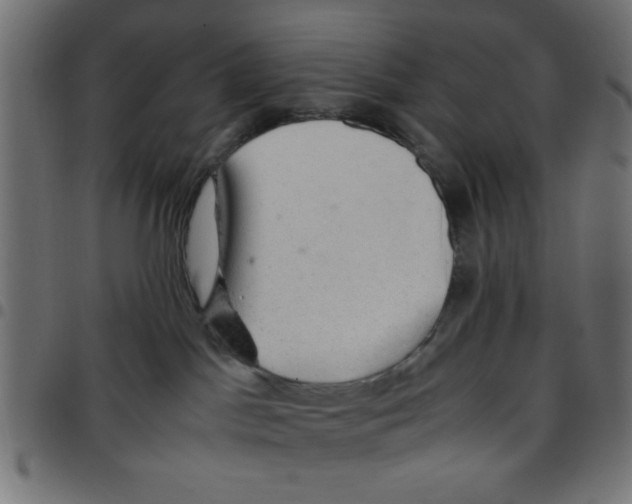 X0000096940045200803071015