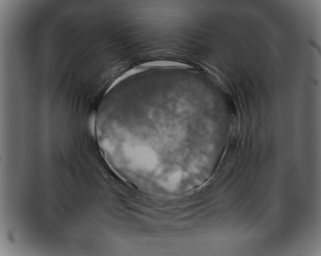 X0000096940047200803071015