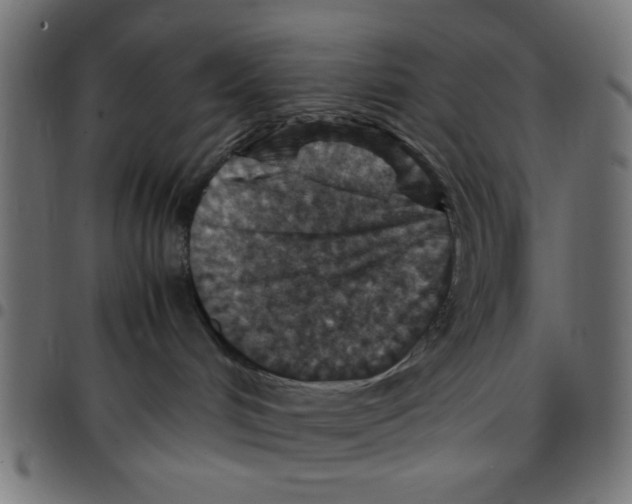 X0000096940048200803071015