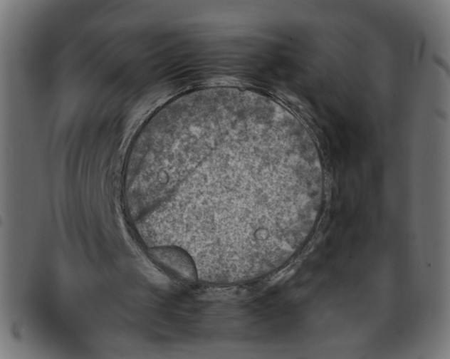 X0000096940049200803071015