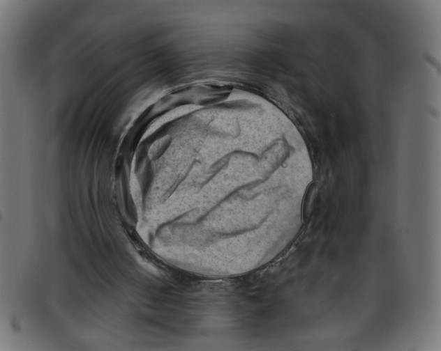X0000096940050200803071015