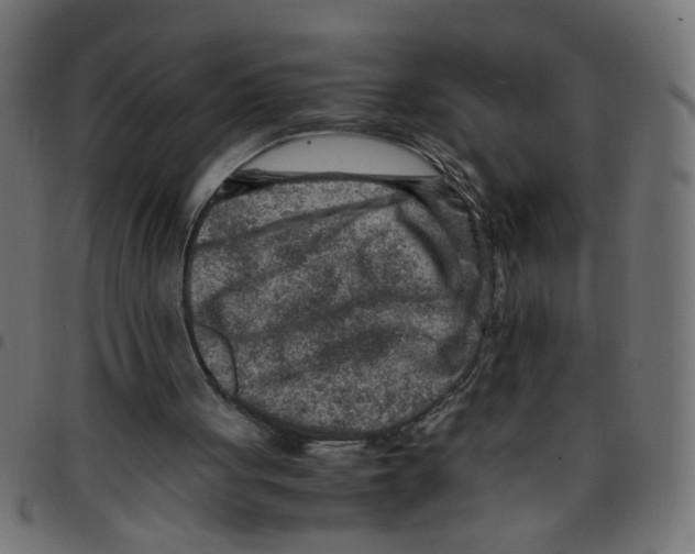 X0000096940051200803071015