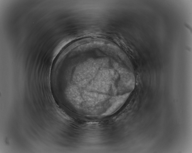 X0000096940052200803071015