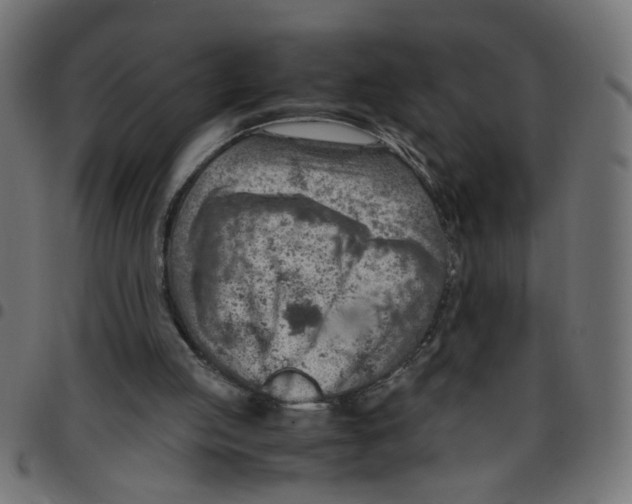 X0000096940053200803071015