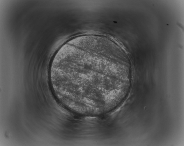 X0000096940055200803071015