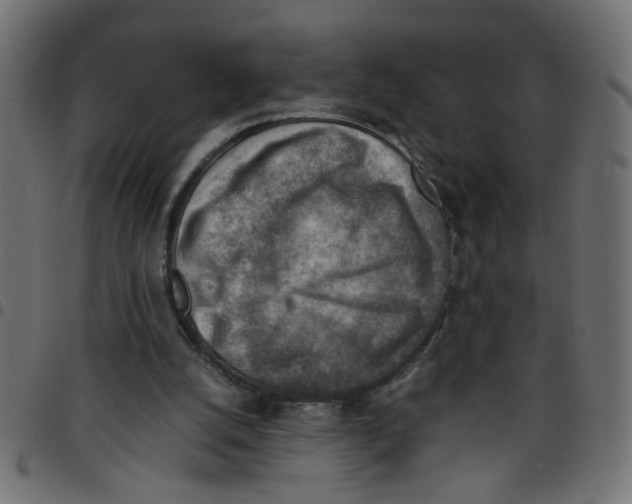 X0000096940056200803071015