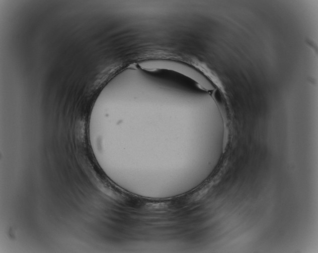 X0000096940057200803071015