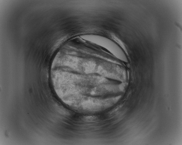 X0000096940059200803071015