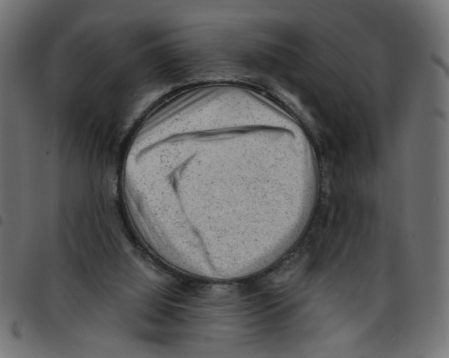 X0000096940060200803071015
