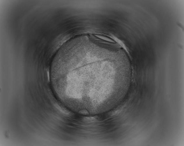 X0000096940061200803071015