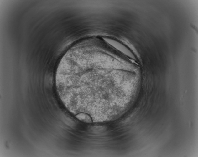X0000096940063200803071015
