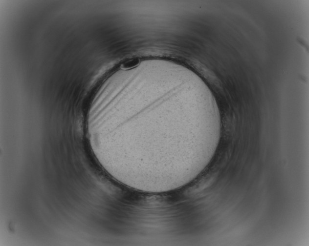 X0000096940064200803071015